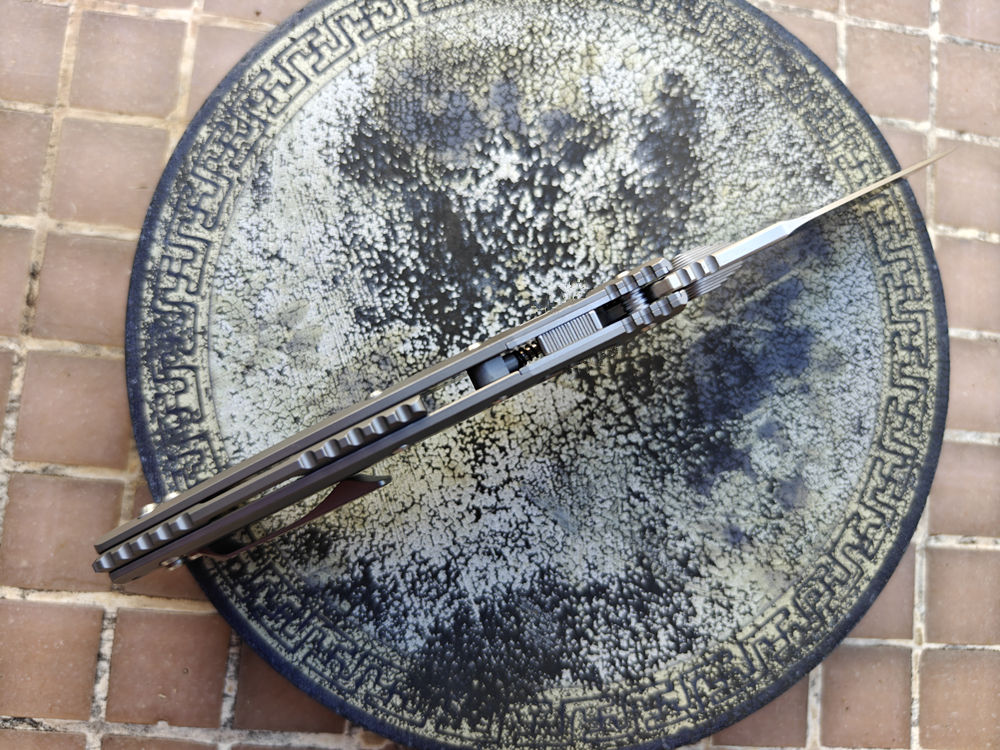 Mai's Real D2 Blade Amphibia Z - Bushcraft Knife Fixed recensie en prijs
